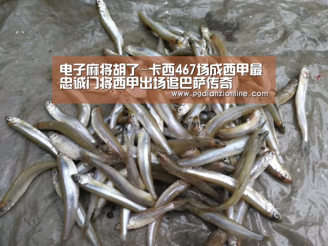 电子麻将胡了-卡西467场成西甲最忠诚门将西甲出场追巴萨传奇(图1) 电子麻将胡了官网