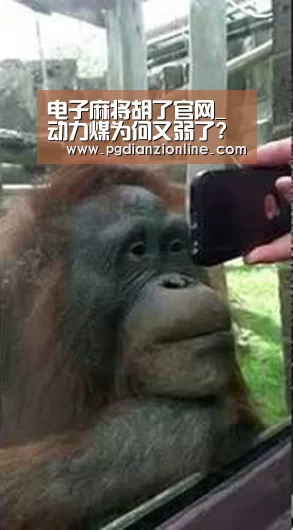 电子麻将胡了官网_动力煤为何又弱了?(图1) 电子麻将胡了官网_动力煤为何又弱了?(图1)