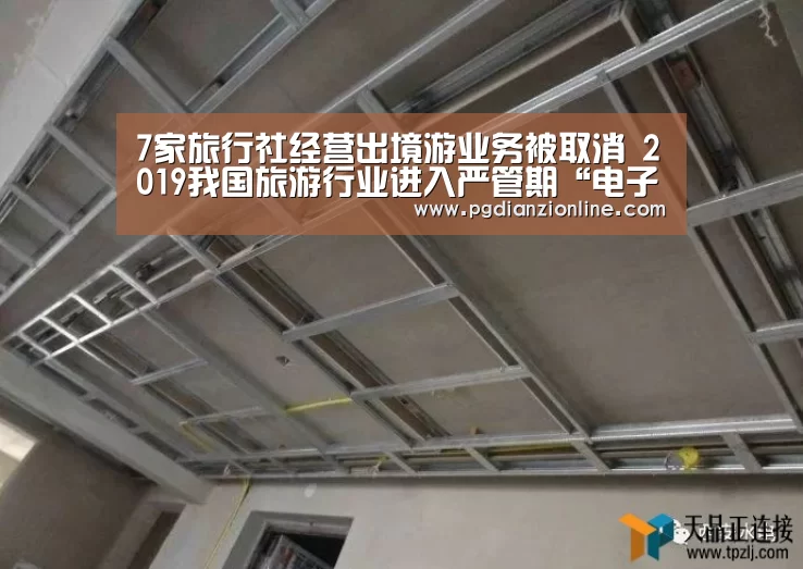 7家旅行社经营出境游业务被取消 2019我国旅游行业进入严管期“电子麻将胡了”(图3) 电子麻将胡了官网