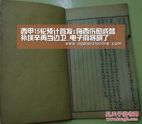 电子麻将胡了