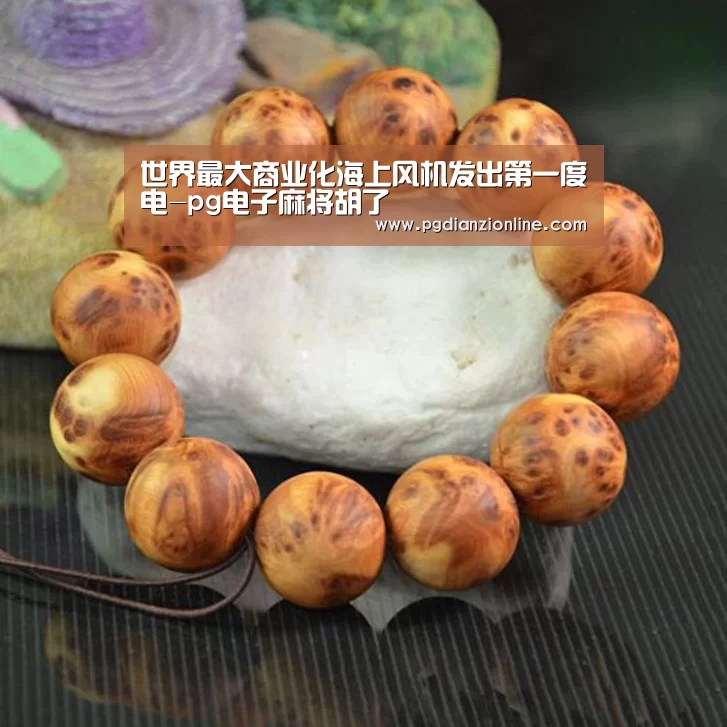 世界最大商业化海上风机发出第一度电-pg电子麻将胡了(图3) 世界最大商业化海上风机发出第一度电-pg电子麻将胡了(图3)