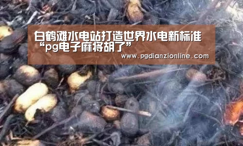 电子麻将胡了官网