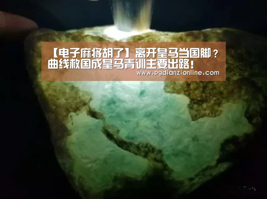 电子麻将胡了官网