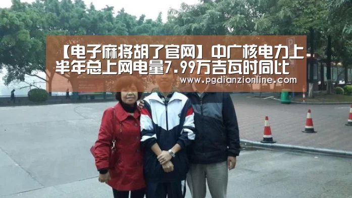 【电子麻将胡了官网】中广核电力上半年总上网电量7.99万吉瓦时同比增11.97%(图2) 电子麻将胡了官网