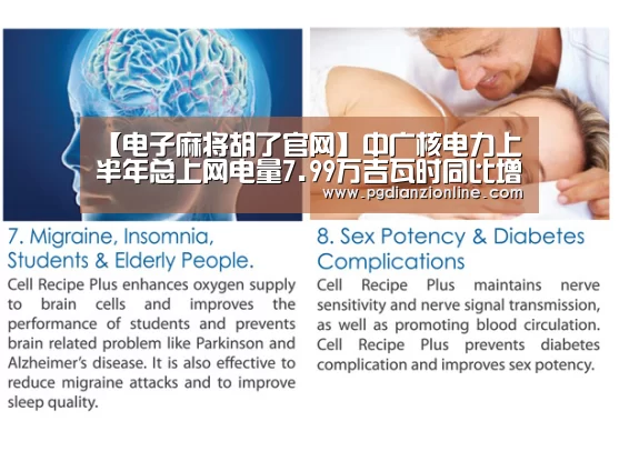 【电子麻将胡了官网】中广核电力上半年总上网电量7.99万吉瓦时同比增11.97%(图3) 电子麻将胡了官网